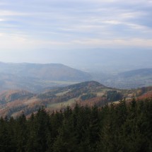 IMG_7649