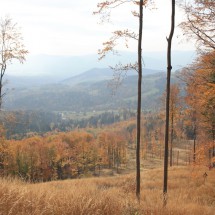 IMG_7718