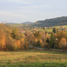 IMG_7806
