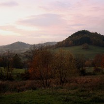 IMG_7846