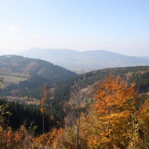 IMG_7885
