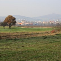IMG_8103