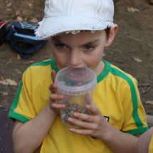 IMG_9101