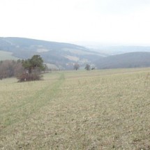 DSC02879
