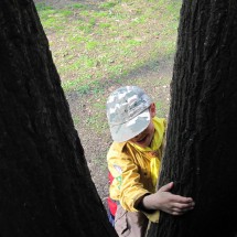 Image00074
