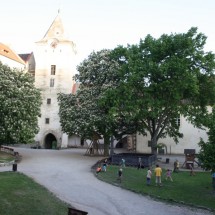 IMG_066