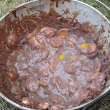 Image00040