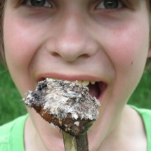 Image00062