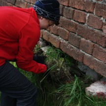 IMG_3749 IMG_3749