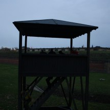 IMG_3750 IMG_3750