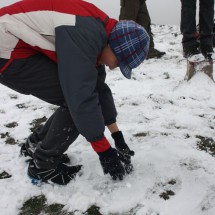 IMG_3898 IMG_3898