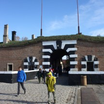 IMG_3941 IMG_3941
