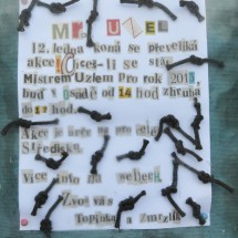 uzel00020