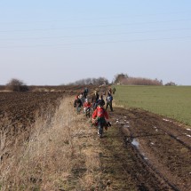 IMG_5028