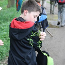 IMG_66