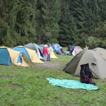 IMG_82