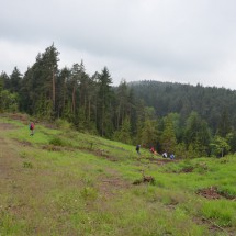 Image00003