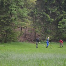 Image00016