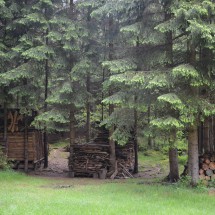 Image00017