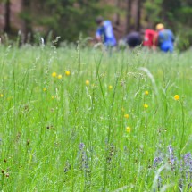 Image00019