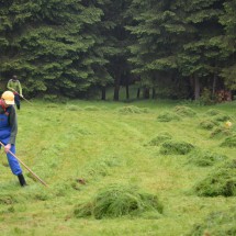 Image00021