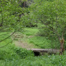 Image00037