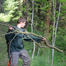 Image00041