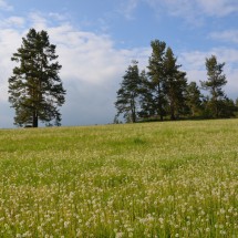 Image00044