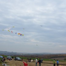 Image00006