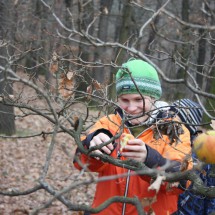 IMG_8847