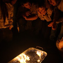 IMG_8892