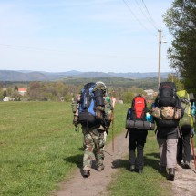 IMG_9461