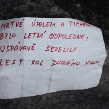 sibir_133
