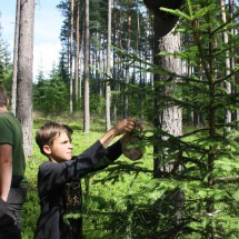 sibir_249