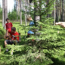 sibir_250