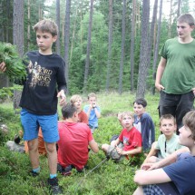 sibir_256