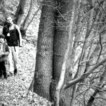 DSC_0090_Fotor