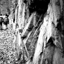 DSC_0120_Fotor