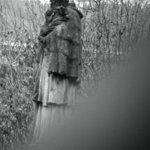 DSC_0142_Fotor