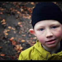 DSC_0869_Fotor
