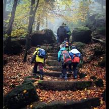DSC_0885_Fotor