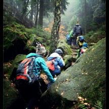 DSC_0886_Fotor