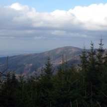 IMGP0628