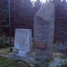 IMGP0649