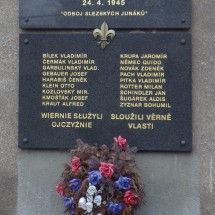 IMGP0731