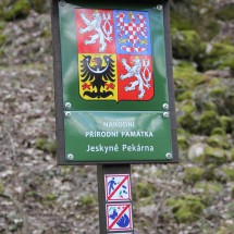 IMG_0191