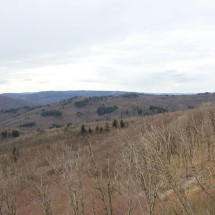 IMG_0285