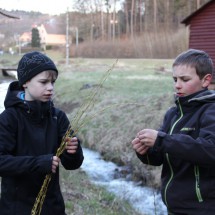 IMG_0309