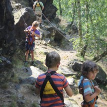 img-11