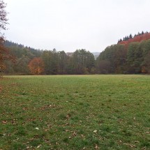PA288395